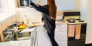 Are Ceramic Plates Microwave Safe as well