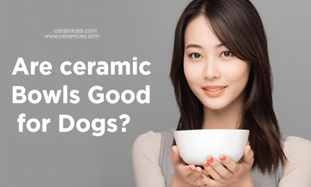 Are Ceramic Bowls Good for Dogs?