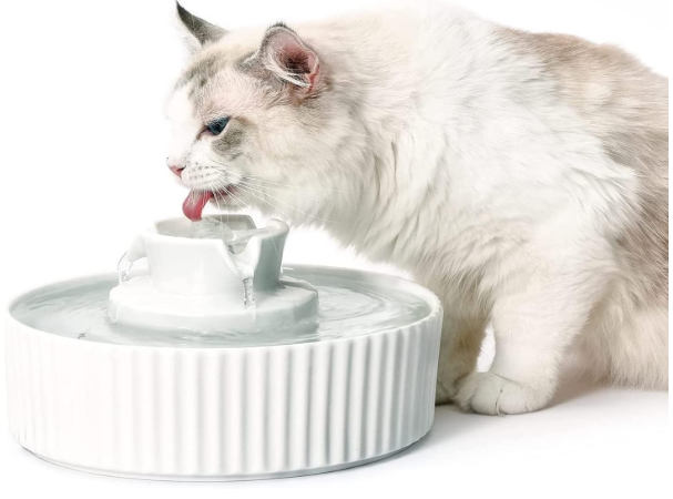Cepheus Pet Drinking Fountain – 2.1L/71oz