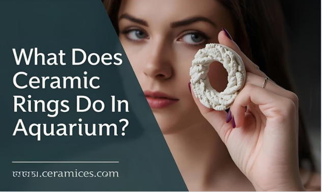 What Does Ceramic Rings Do in Aquarium?
