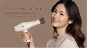 best ceramic blow dryer
