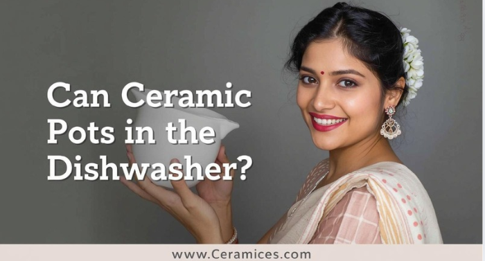 Can Ceramic Pots Go in the Dishwasher?