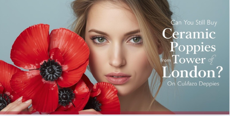 Can You Still Buy Ceramic Poppies From Tower of London?