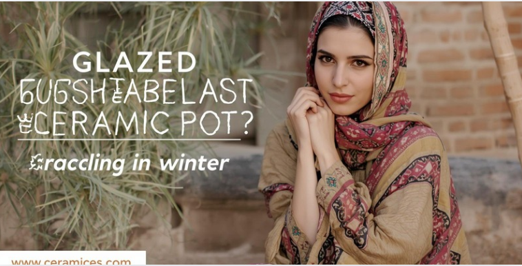 How to Keep Glazed Ceramic Pots From Cracking in Winter