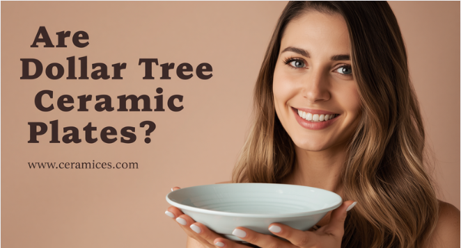 Are Dollar Tree Ceramic Plates Safe?